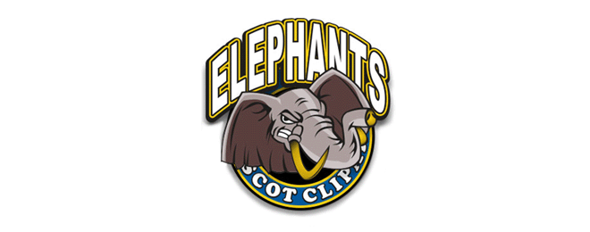 creative elephant logo (47)